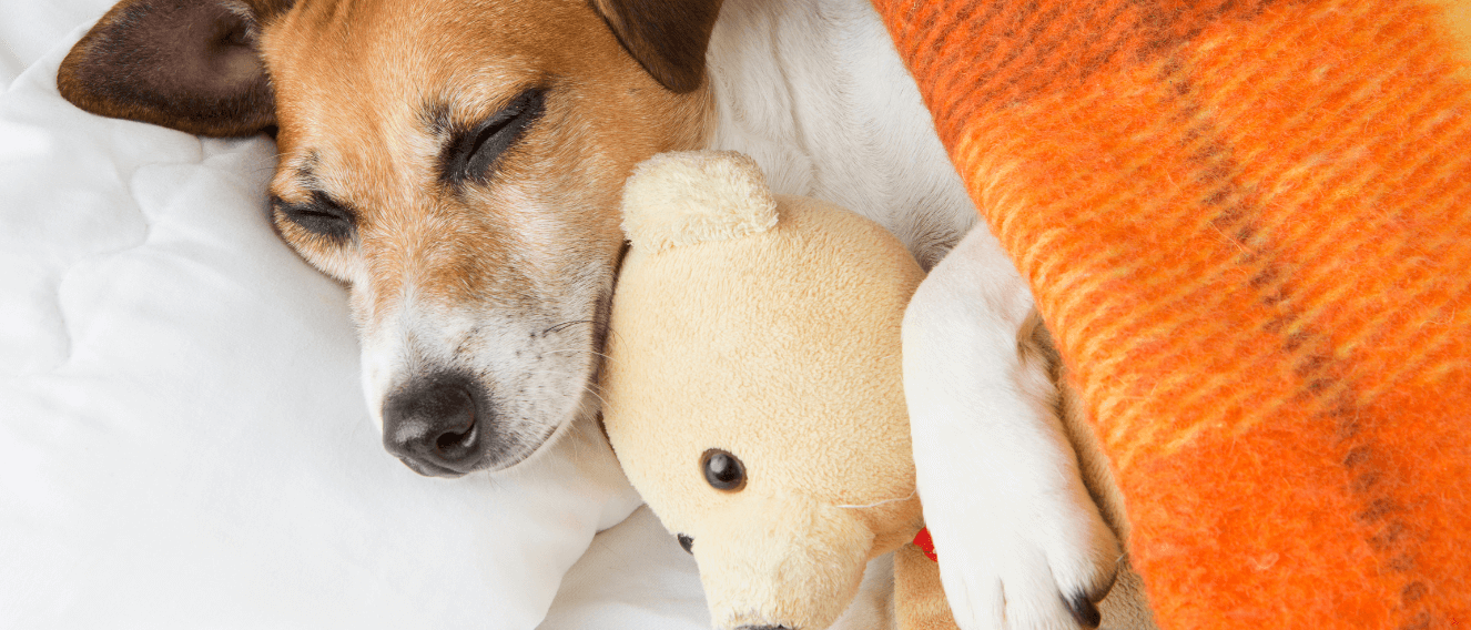 Poduszka finansowa dla sportowców – jak zabezpieczyć się na każdym etapie kariery?